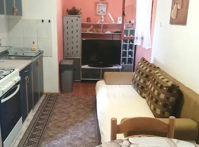 Διαμέρισμα Zmiric